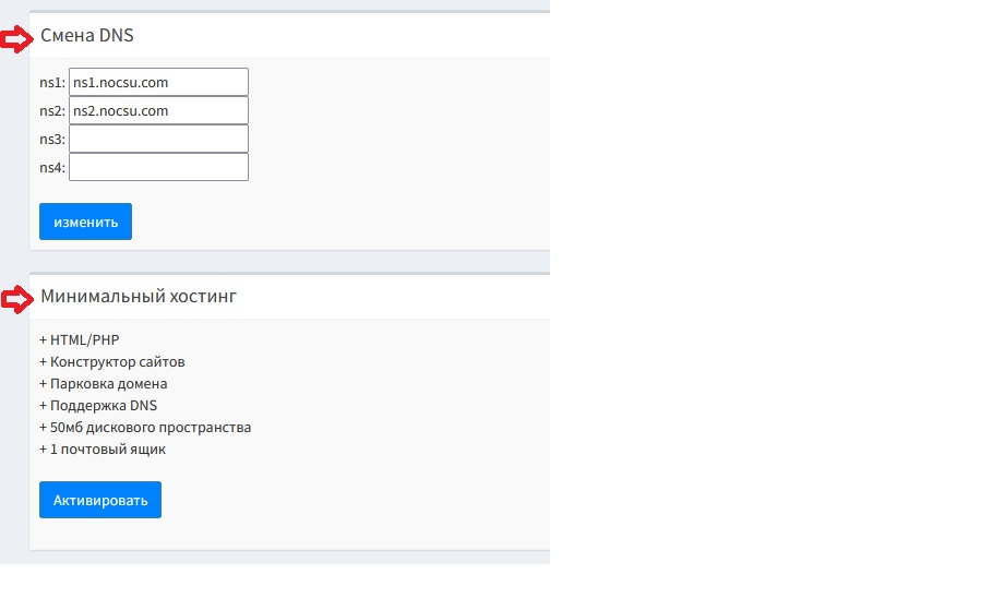 Управление доменом - смена DNS и активация хостинга